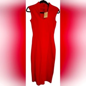 Small Crimson Red Dress